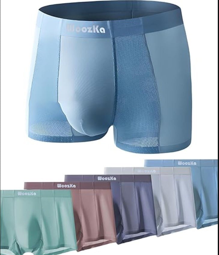 Men's Shorts Underwear Men's Brief Boxer Multicolor - Moda & Main
